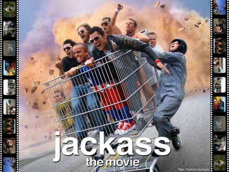 jackass