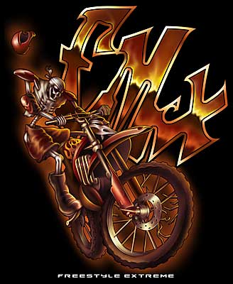 fmx motocross